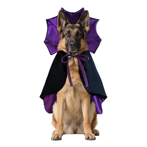 Pet Halloween Costume